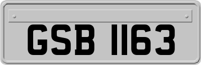 GSB1163