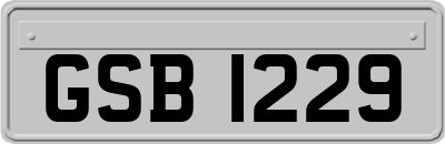 GSB1229