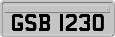GSB1230