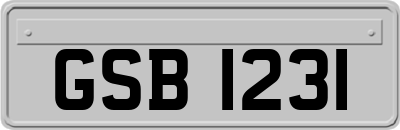 GSB1231