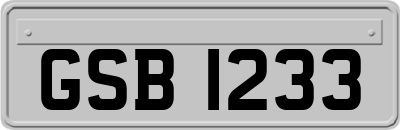 GSB1233