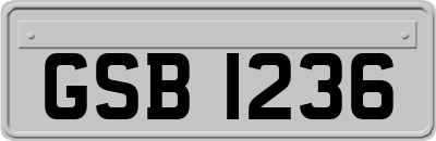 GSB1236