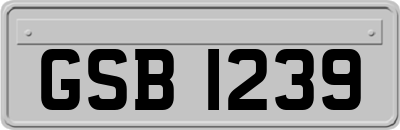 GSB1239