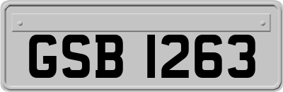 GSB1263
