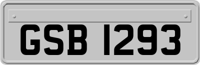 GSB1293