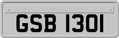 GSB1301