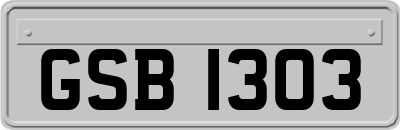 GSB1303