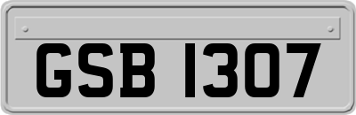 GSB1307
