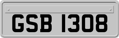 GSB1308
