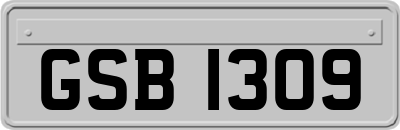 GSB1309