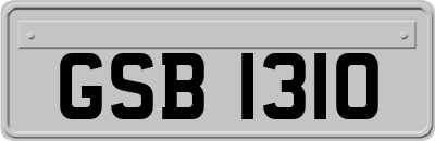 GSB1310