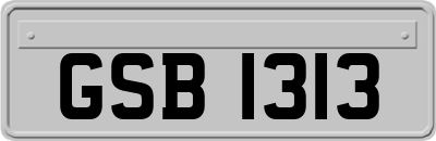 GSB1313