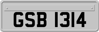 GSB1314