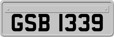 GSB1339