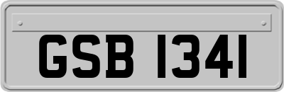 GSB1341
