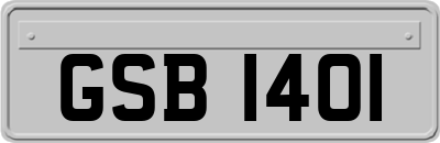 GSB1401