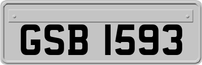 GSB1593