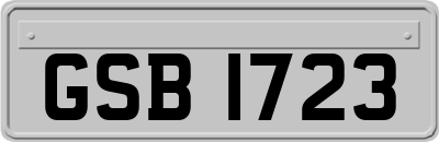 GSB1723