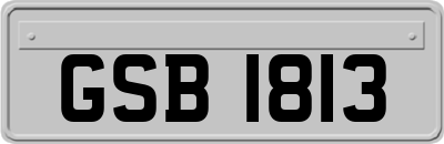 GSB1813