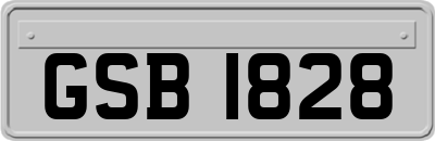 GSB1828