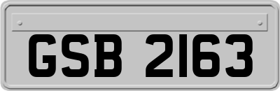 GSB2163