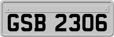 GSB2306
