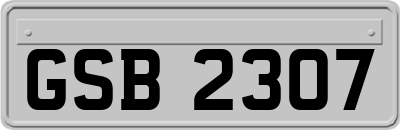 GSB2307