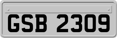 GSB2309