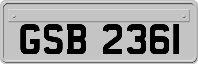 GSB2361