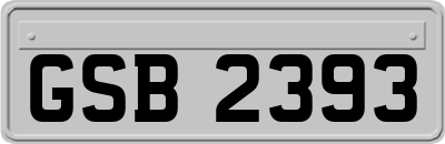 GSB2393