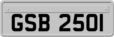 GSB2501