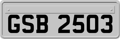 GSB2503