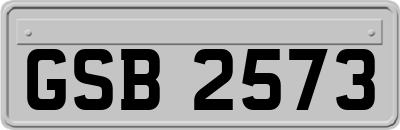 GSB2573
