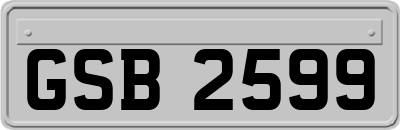 GSB2599