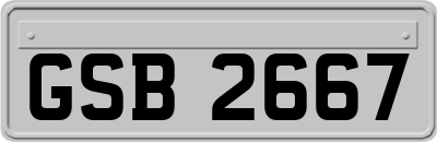 GSB2667