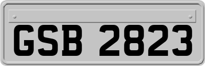 GSB2823