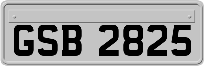 GSB2825