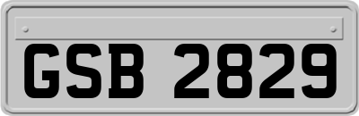 GSB2829