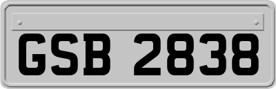 GSB2838