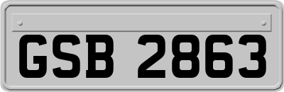 GSB2863