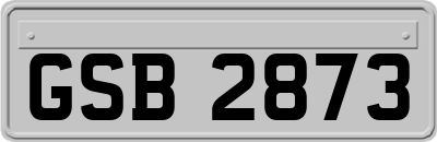 GSB2873