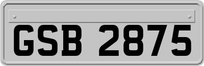GSB2875