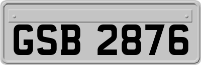 GSB2876