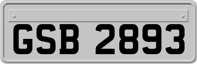 GSB2893