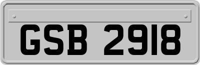 GSB2918
