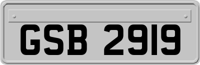 GSB2919