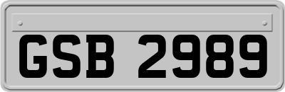 GSB2989