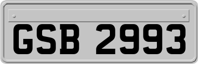 GSB2993