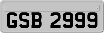 GSB2999