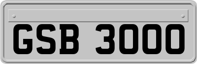 GSB3000